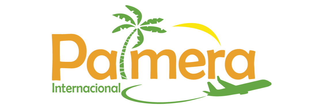 Palmera internacional logo